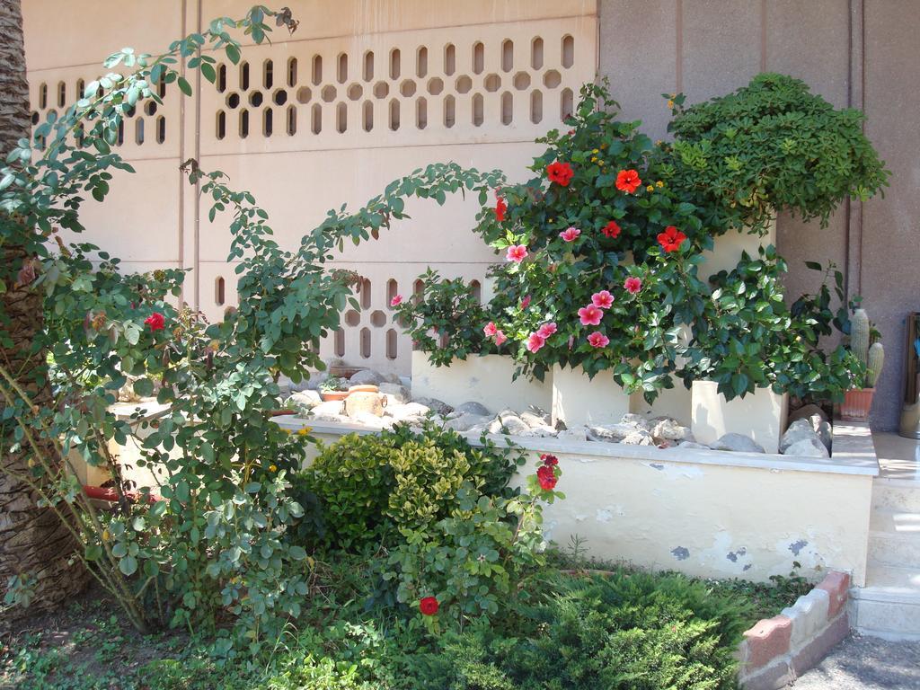 Park Hotel Baia Domizia Exterior photo